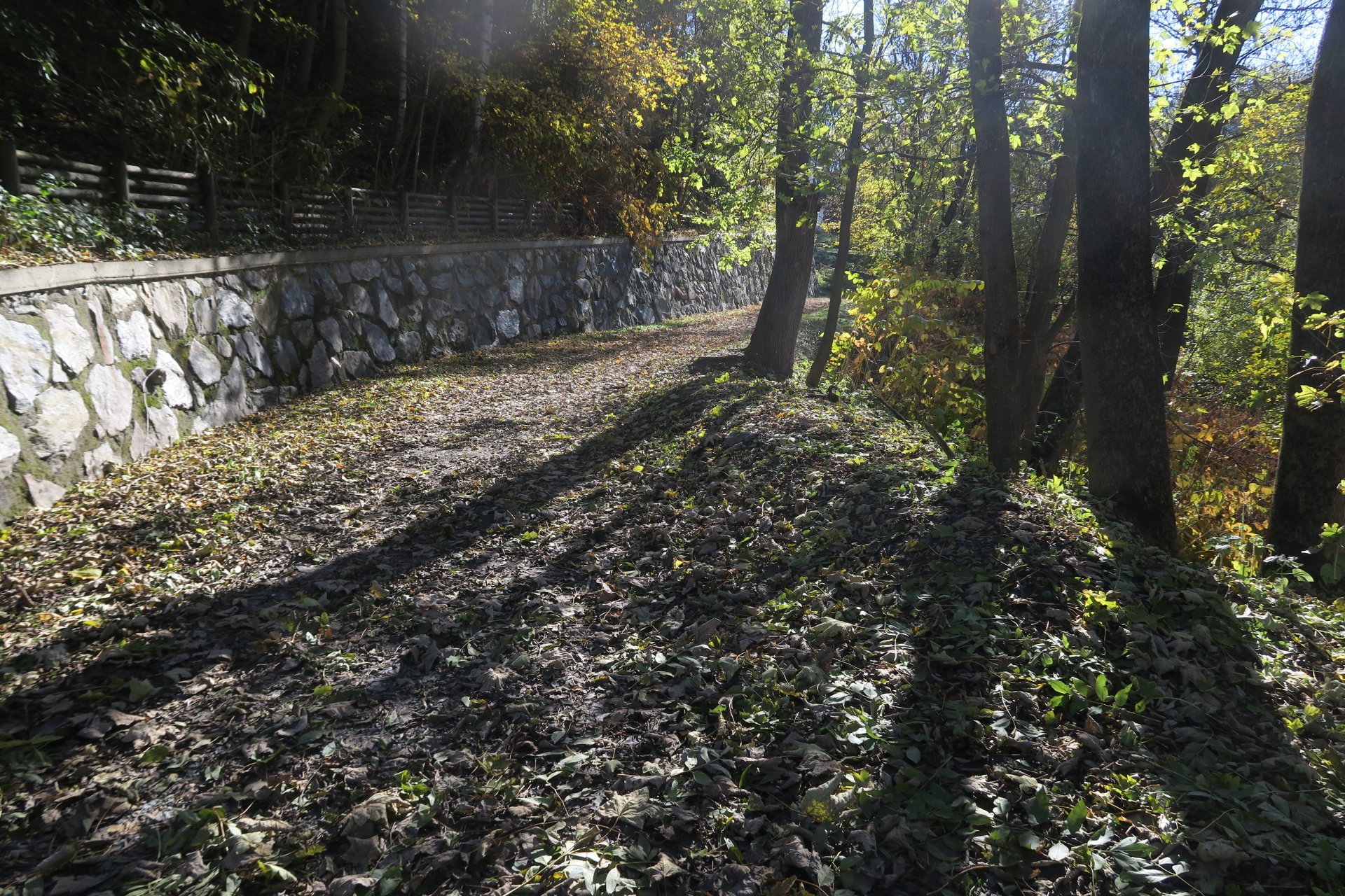 Colori d'autunno