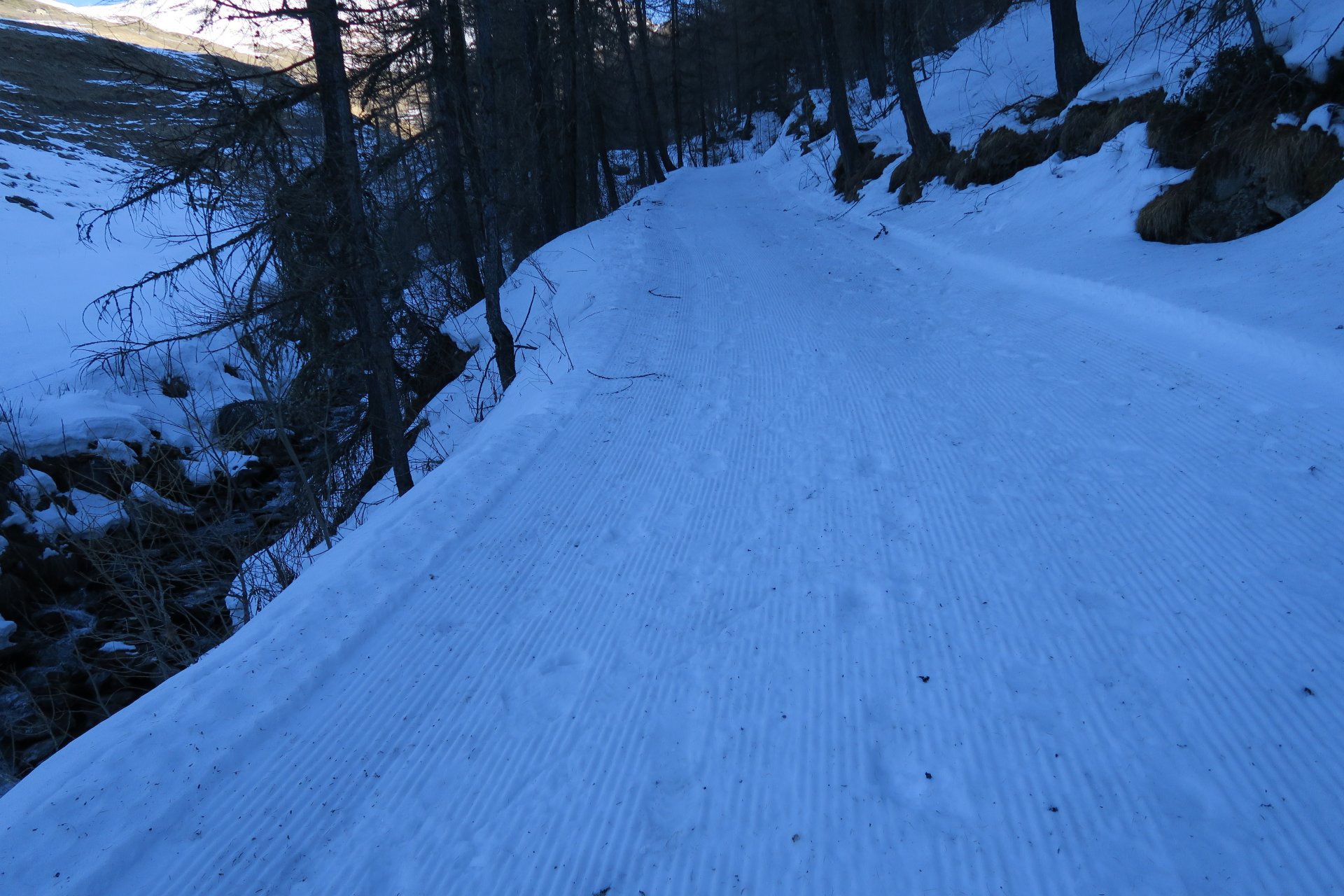 Pista battuta lungo il torrente