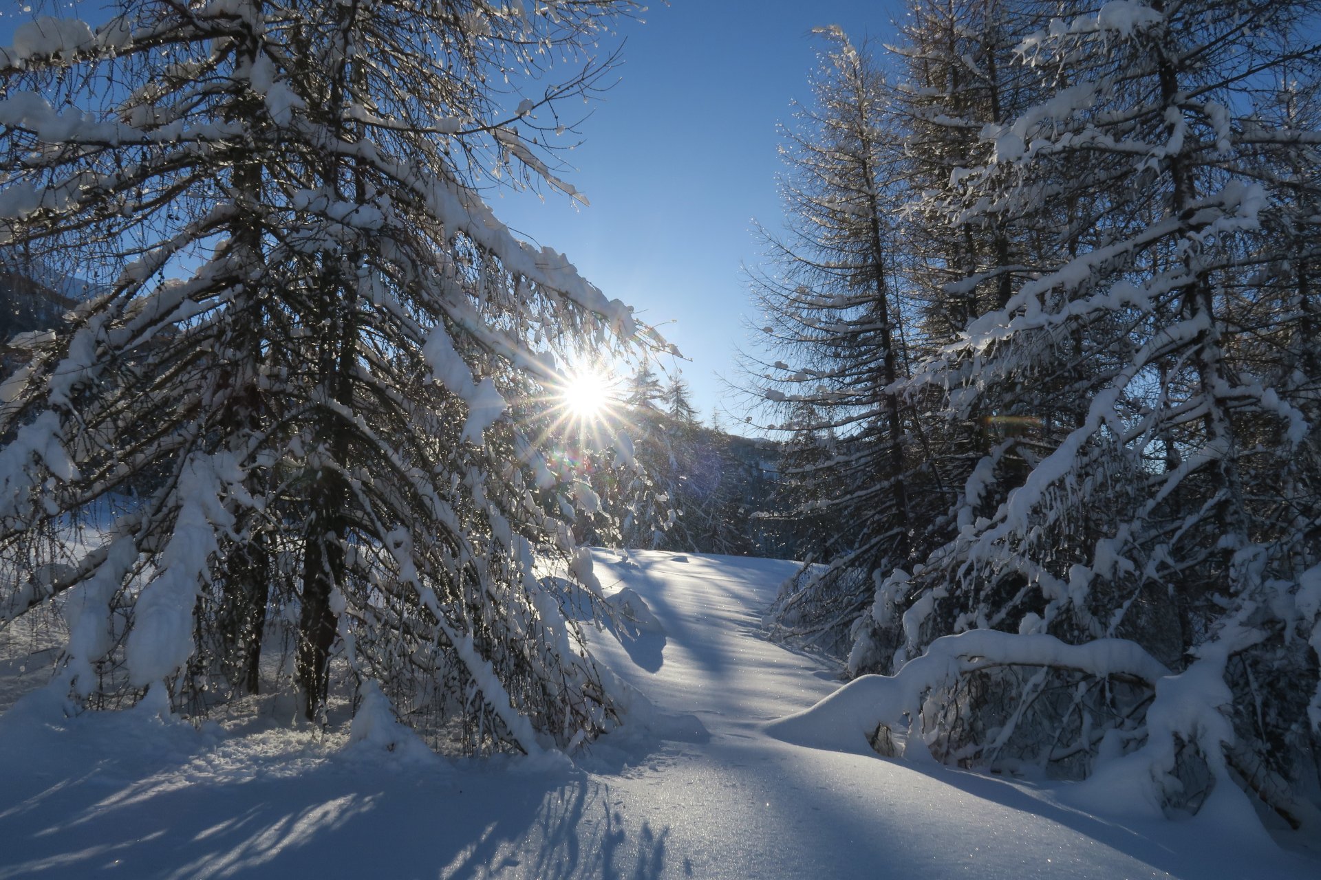 Spunta il sole