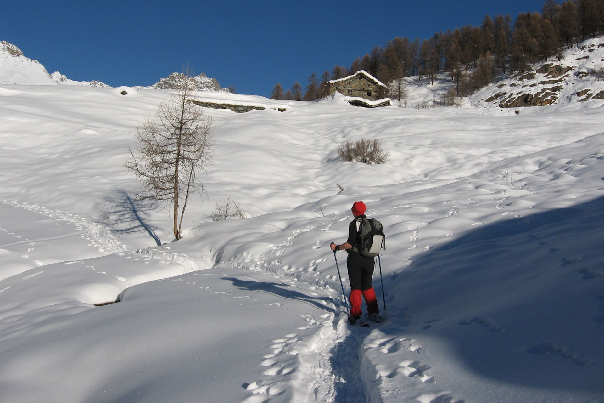 Ampi pendii arrivando all'alpe Tsantsevellà