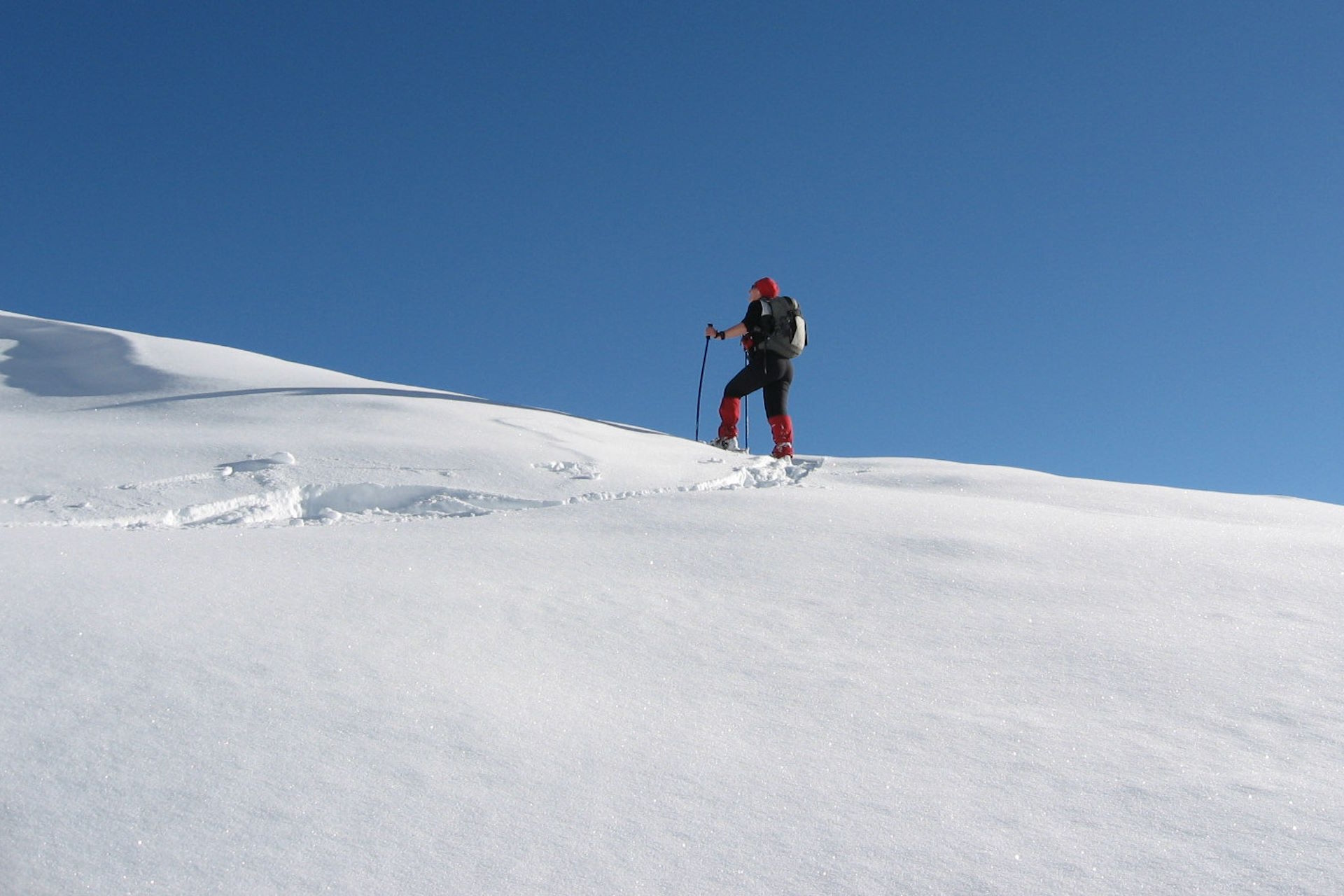 Nel bianco