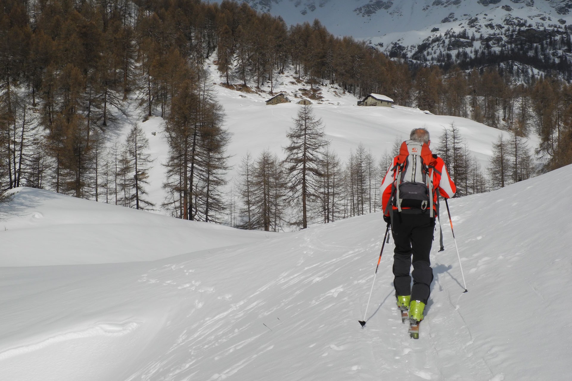 Si esce dal bosco