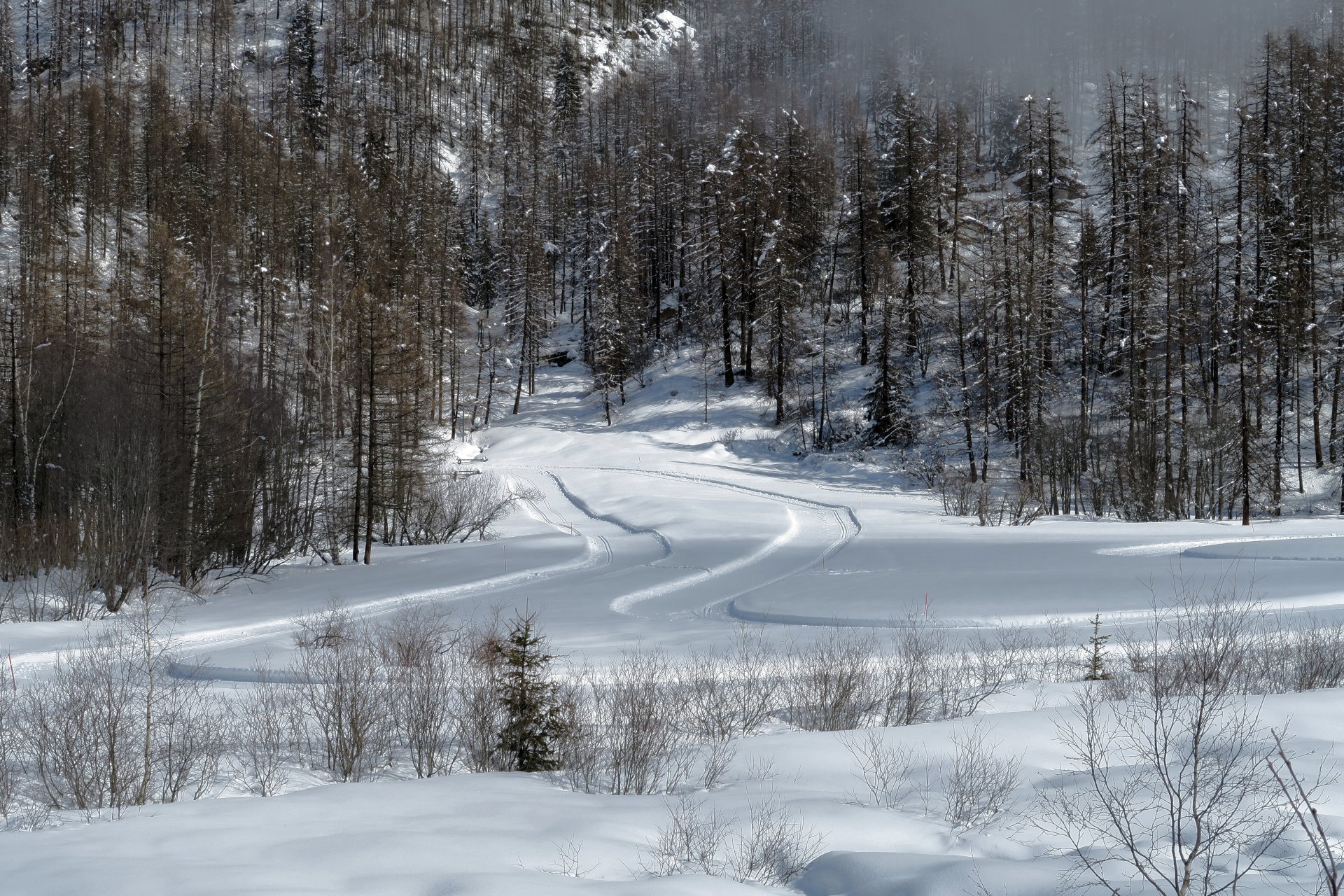 La pista di fondo di Champlève