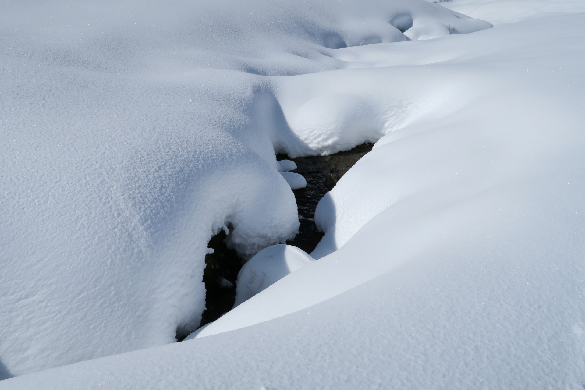 L'acqua sotto la neve